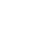 security Access 10 years of industry expertise icon