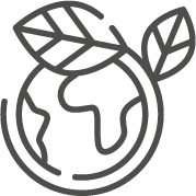 PDF Icon